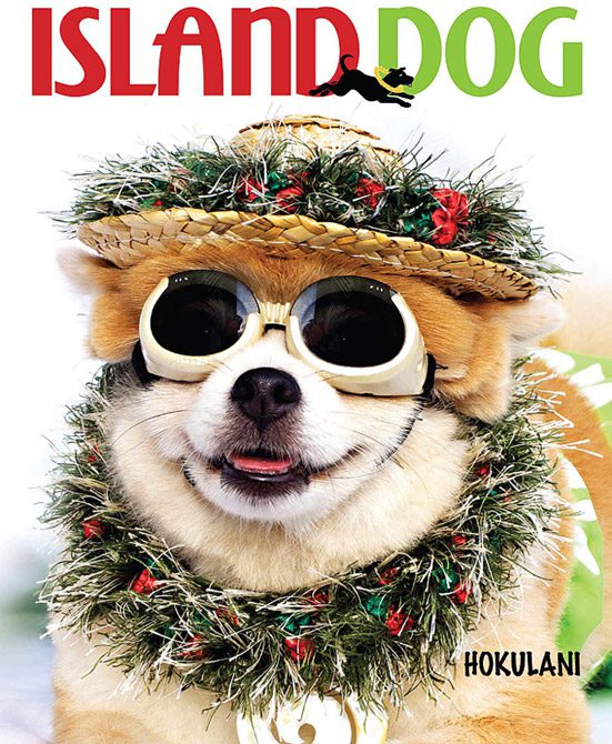 Hokulani-on-Island-Dog-Magazine