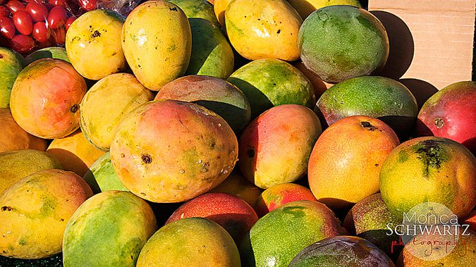 Fresh Mangoes from Hawaii