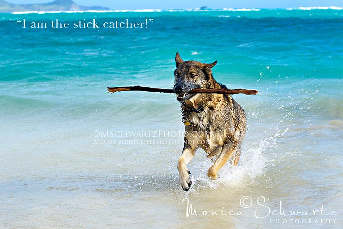 Piko-brings-the-stick-back