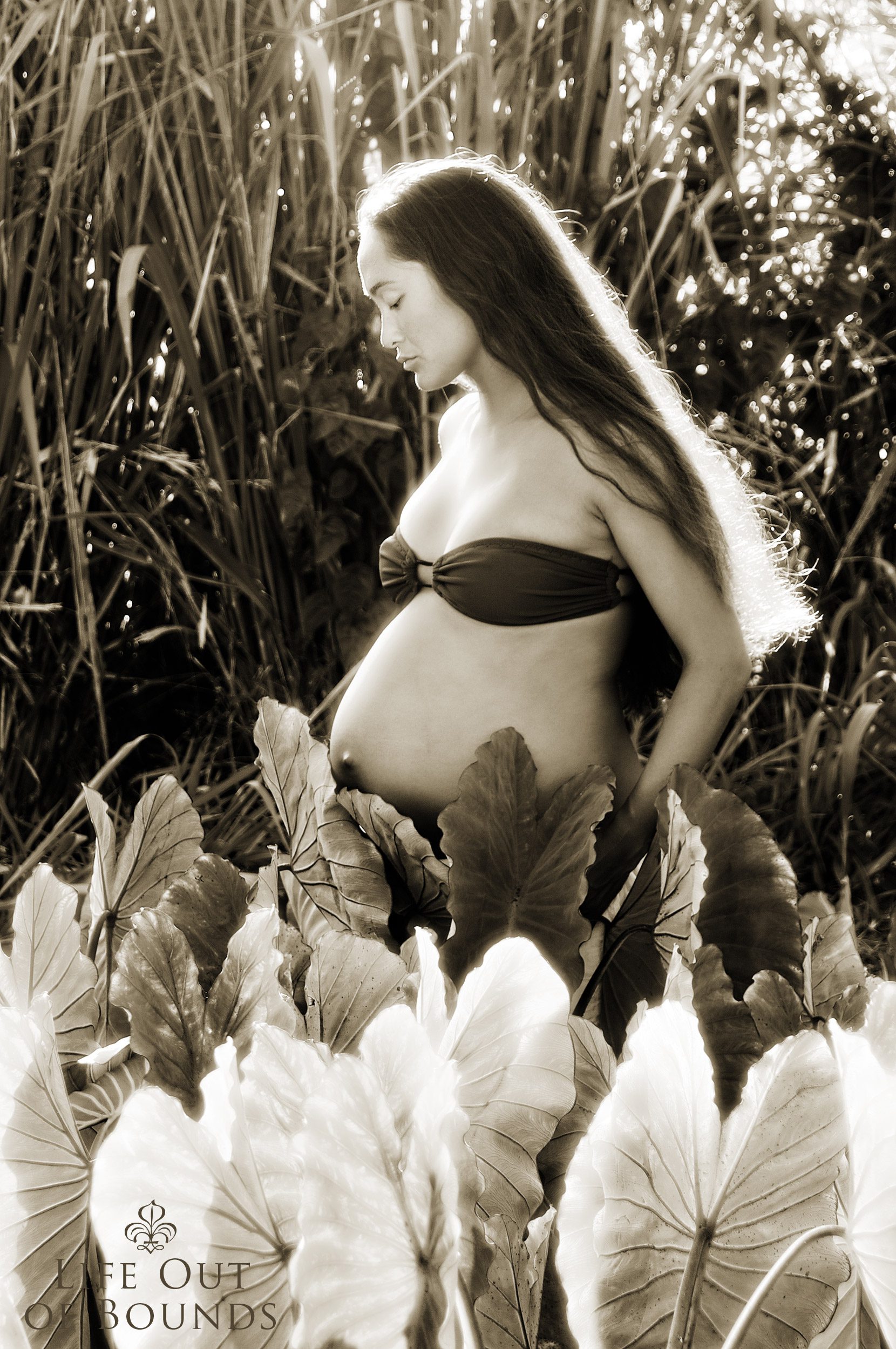 Beautiful-Hawaiian-woman-expecting--baby-standing-in-a-taro-field-at-sunset-Haleiwa-Oahu-Hawaii