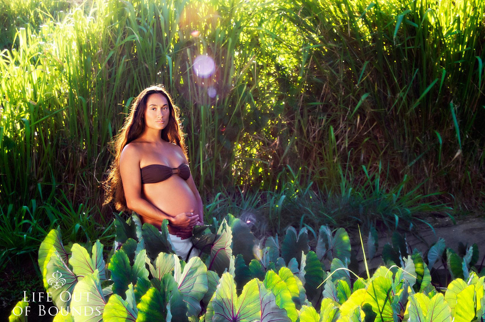 Beautiful-Hawaiian-woman-expecting--baby-standing-in-a-taro-field-at-sunset-Haleiwa-Oahu-Hawaii