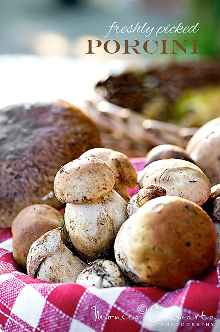 Fresh-Porcini-Mushrooms