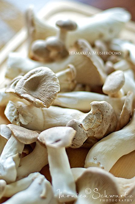 Fresh-Hamakua-Mushrooms