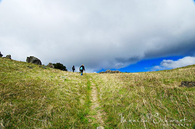 Hiking-the-slopes-of-Mount-Tamalpais