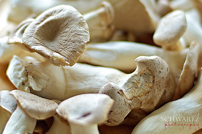 Hamakua-Mushrooms
