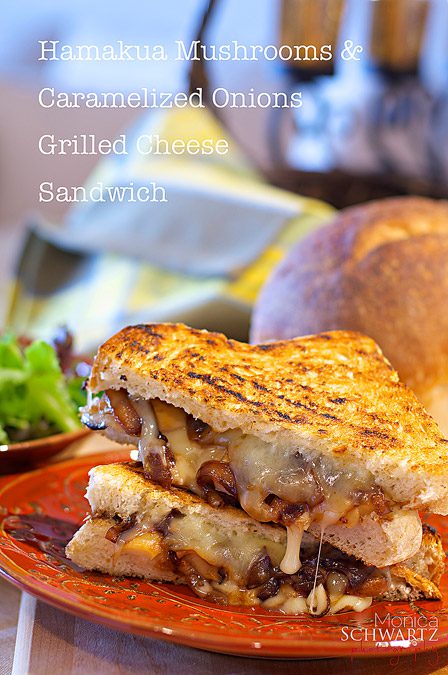Grilled Cheese Sandwich with Caramelized Balsamic Onions & Hamakua Mushrooms