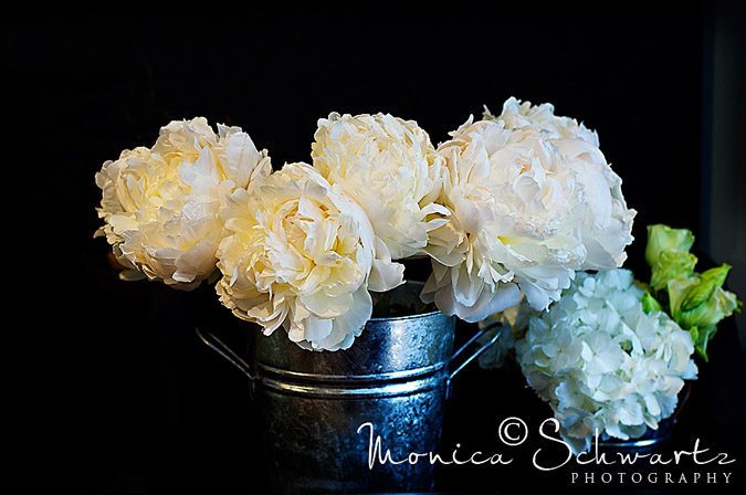 White-peonies-on-black-background-at-Ornamento-flower-and-gift-shop-in-San-Francisco-California