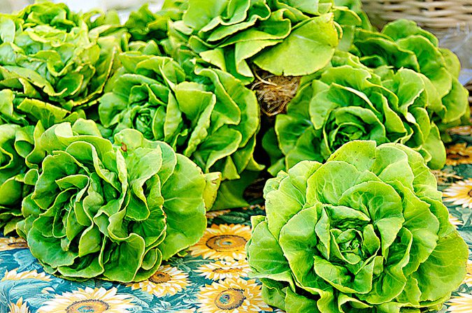 Fresh-lettuce-at-the-farmers-market-in-San-Rafael-Marin-County-California