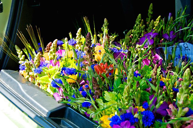 Fresh-flowers-at-the-farmers-market-in-San-Rafael-Marin-County-California