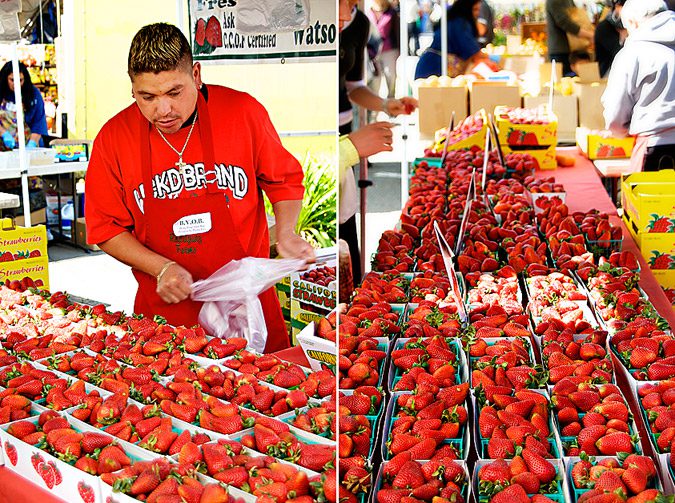 Strawberry-vendors-at-the-farmers-market-in-San-Rafael-Marin-County-California