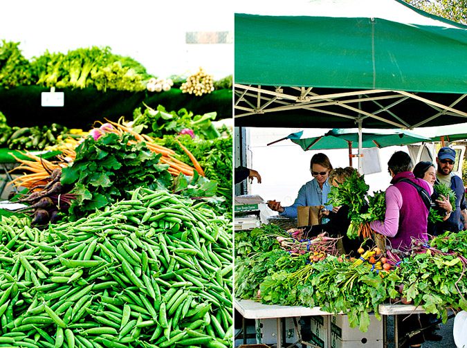 Fresh-produce-at-the-farmers-market-in-San-Rafael-Marin-County-California