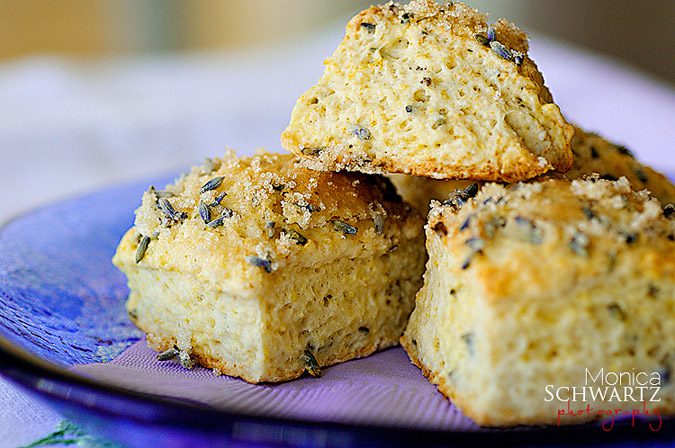 Recipe-for-lavender-and-lemon-scones