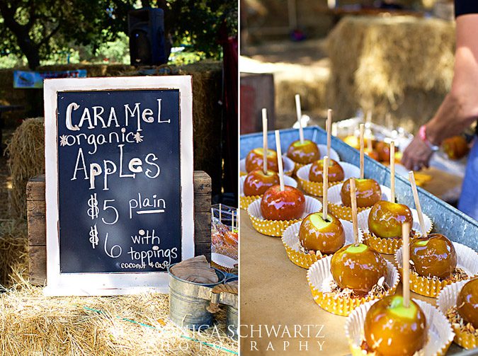 Caramelized-Apples-at-the-Gravenstein-Apple-Fair-in-Sebastopol-California