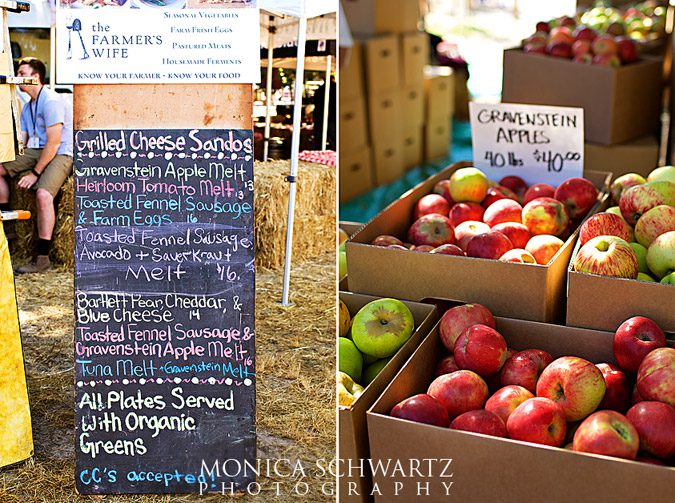 Gravenstein-Apple-Fair-in-Sebastopol-California
