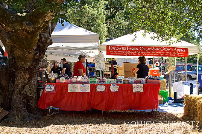 Apple-baked-goods-at-the-Gravenstein-Apple-Fair-in-Sebastopol-California