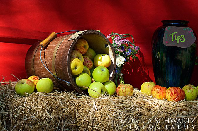 Beautiful-food-booth-at-the-Gravenstein-Apple-Fair-in-Sebastopol-California