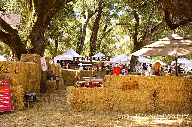 Cheese-Lounge-at-the-Gravenstein-Apple-Fair-in-Sebastopol-California