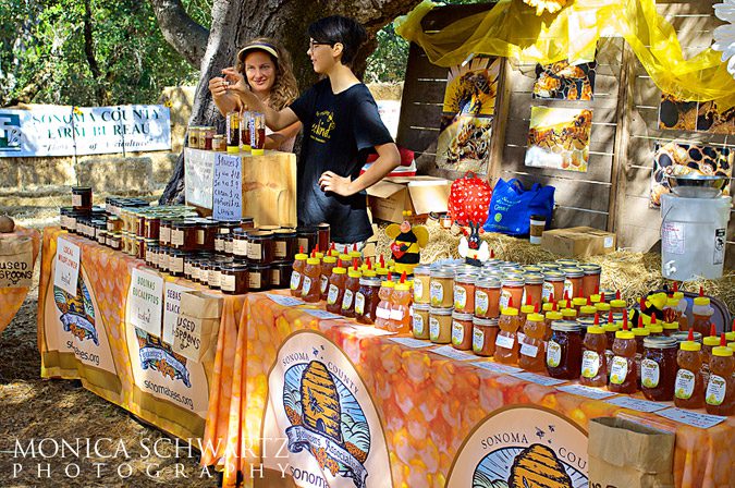 Honey-vendor-at-the-Gravenstein-Apple-Fair-in-Sebastopol-California