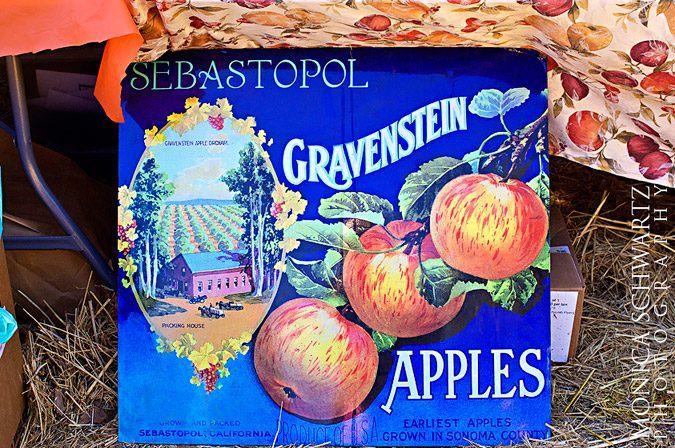 Gravenstein-Apple-Fair-vintage-sign-in-Sebastopol-California