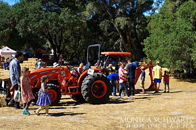 Tractors-on-display-at-the-Gravenstein-Apple-Fair-in-Sebastopol-California