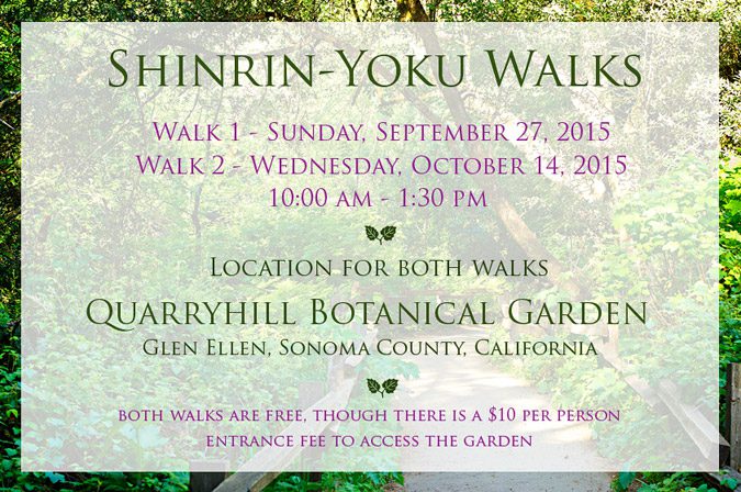 Shinrin-Yoku-scheduled-free-walks