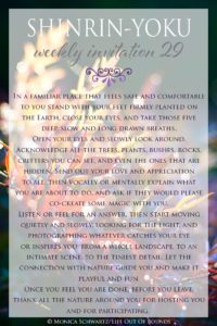 Shinrin-Yoku-Forest-Therapy-Invitation-29
