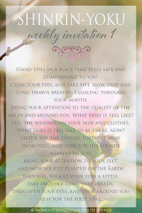 Shinrin-Yoku-Forest-Therapy-Invitation-1