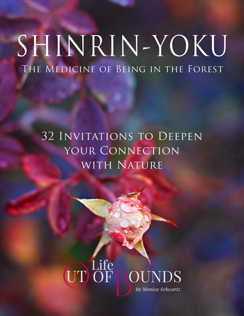 Shinrin-Yoku-forest-therapy-Invitations-e-book