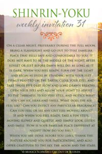 Shinrin-Yoku-Forest-Therapy-Invitation-nr-31
