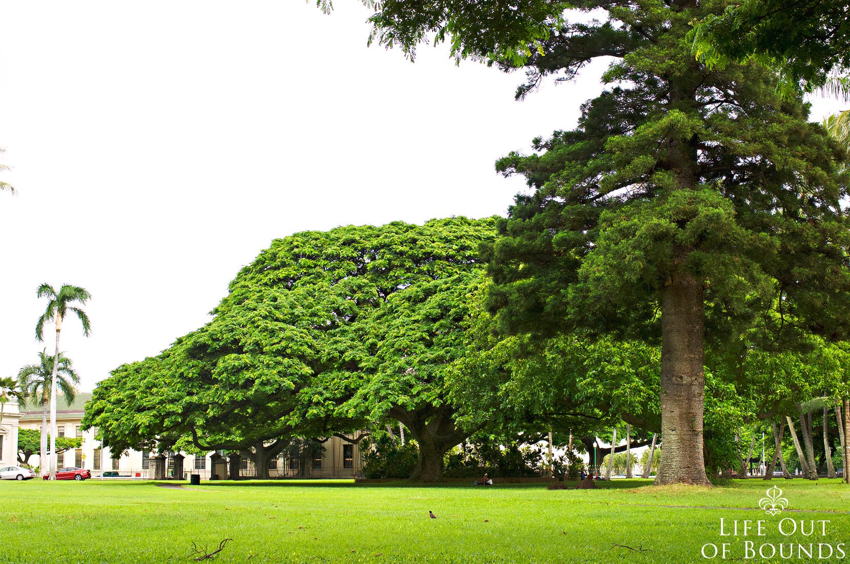 The-grounds-at-Iolani-Palace-in-Honolulu-Hawaii