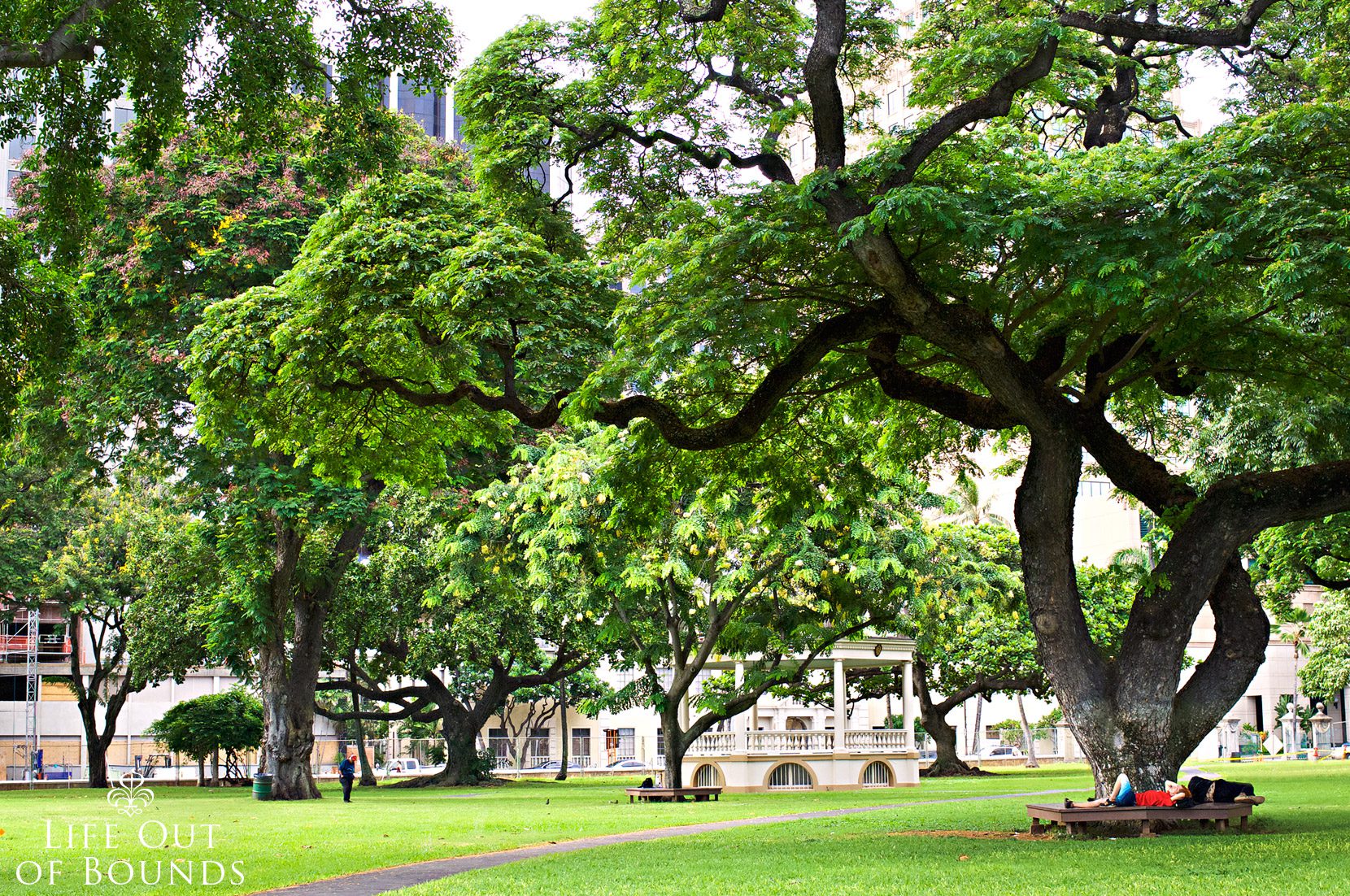 The-grounds-at-Iolani-Palace-in-Honolulu-Hawaii