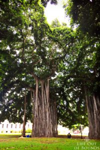 The-grounds-at-Iolani-Palace-in-Honolulu-Hawaii