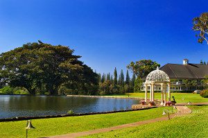 Garden-and-pond-at-Lodge-at-Koele-Resort-Lanai-Hawaii
