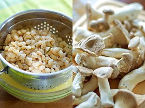 Cooked-cannellini-beans-and-fresh-Trumpet-mushrooms