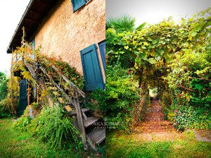 Fall-colors-in-the-garden-Northern-Italy