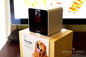 Petcube-live-security-camera-for-pets