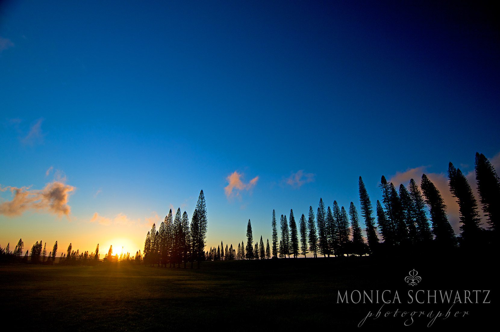 Indigo-sunset-on-the-golf-course-and-Norfolk-Pines-at-Lodge-at-Koele-Lanai-Hawaii