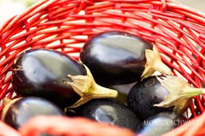 Eggplants-at-the-farmers-market