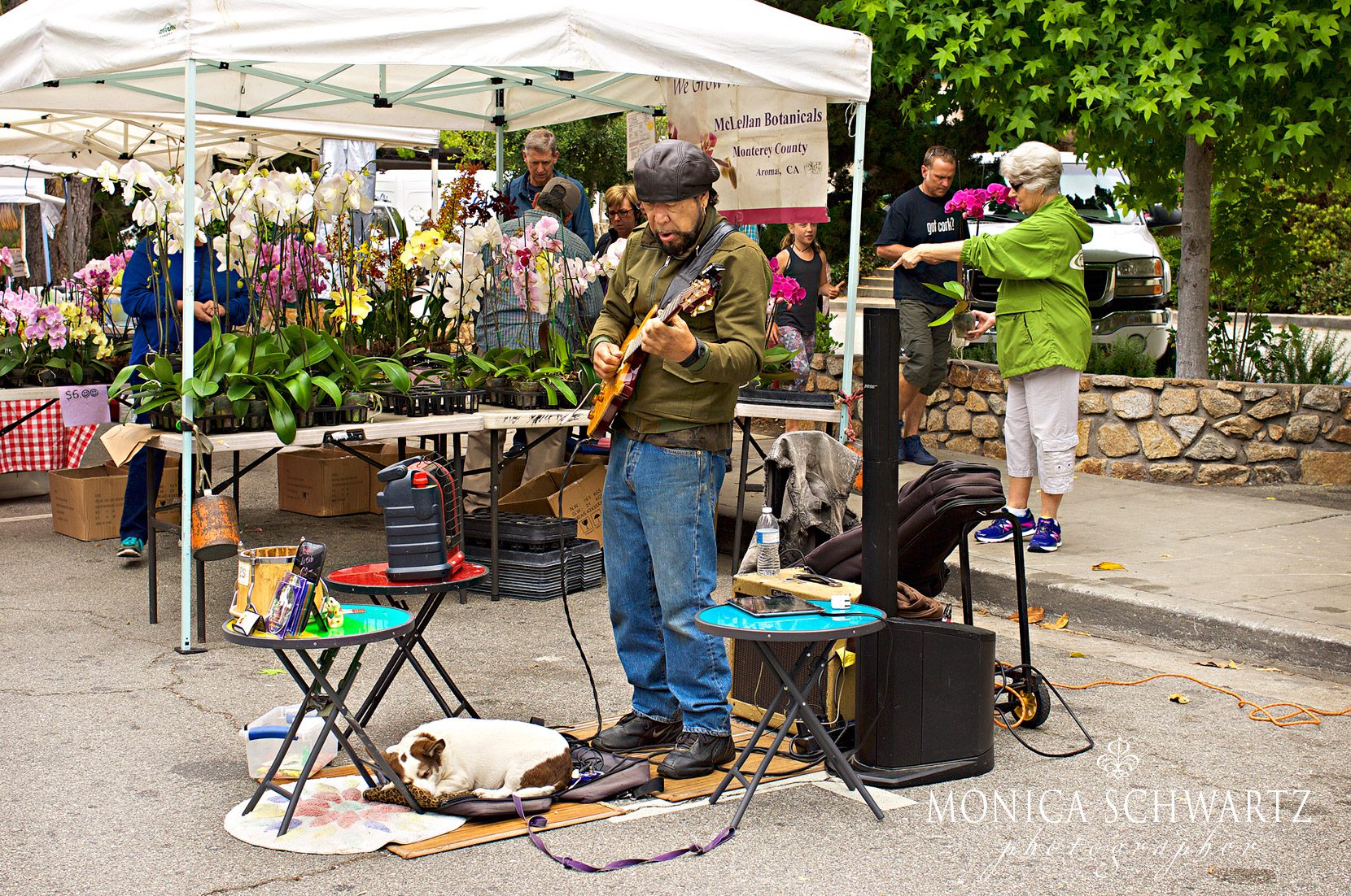 Musician-and-his-dog-at-the-farmers-market-in-Carmel-by-the-Sea-California