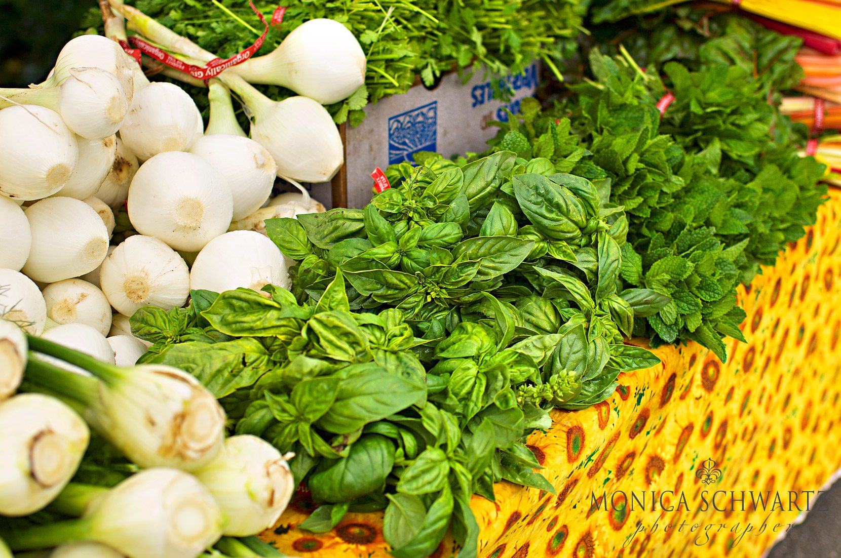 Organic-Basil-mint-parsley-onions-and-fennels-at-the-farmers-market-in-Carmel-by-the-Sea-California