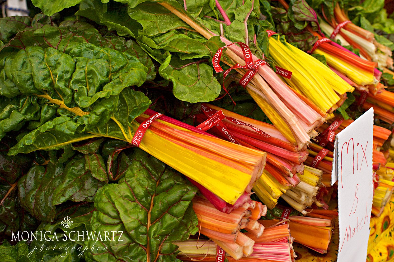 Organic-rainbow-chard-at-the-farmers-market-in-Carmel-by-the-Sea-California