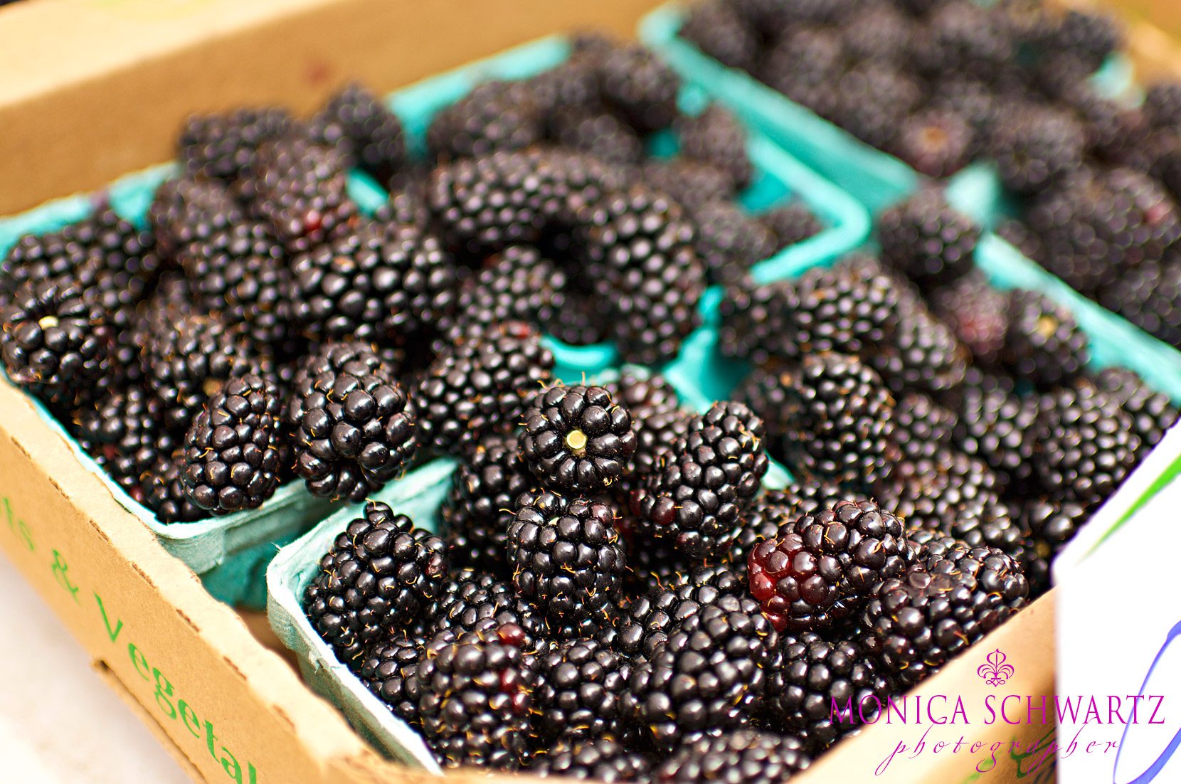 Organic-blackberries-at-the-farmers-market-in-Carmel-by-the-Sea-California