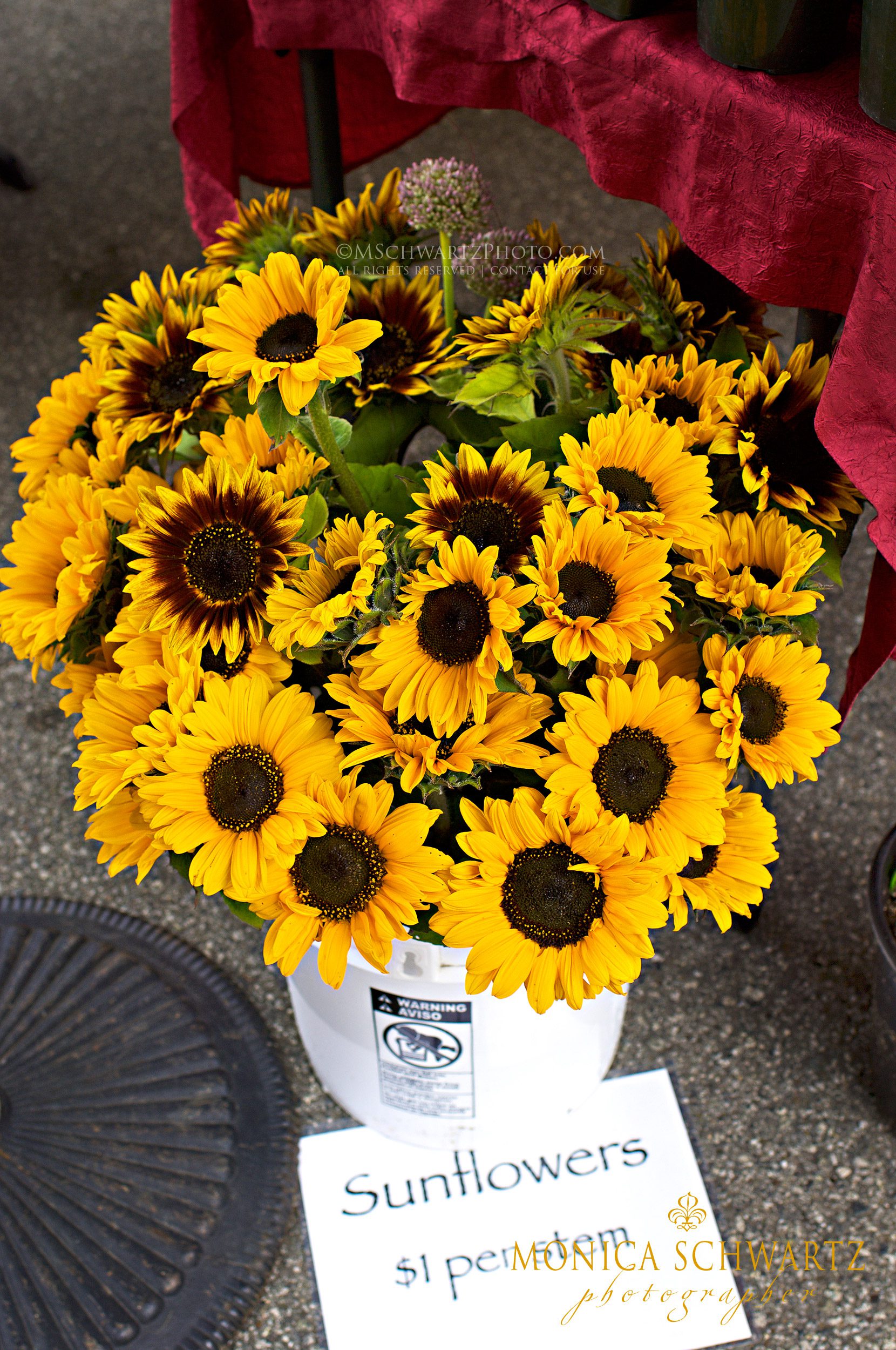 Sunflowers-at-the-farmers-market-in-Carmel-by-the-Sea-California