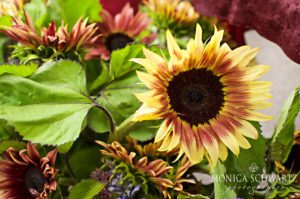Sunflowers-at-the-farmers-market-in-Carmel-by-the-Sea-California