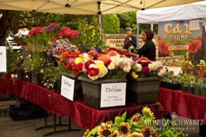 Flower-vendor-at-the-farmers-market-in-Carmel-by-the-Sea-California