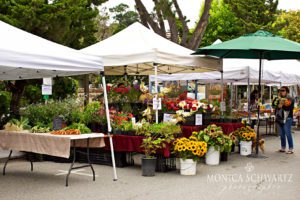 The-Carmel-Farmers-Market-Carmel-by-the-Sea-California