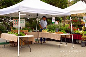 Faurot-Ranch-farm-stand-at-the-farmers-market-in-Carmel-by-the-Sea-California