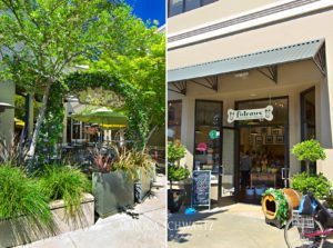 Willis-Seafood-and-Raw-Bar-and-Fideaux-pet-store-in-Healdsburg-California