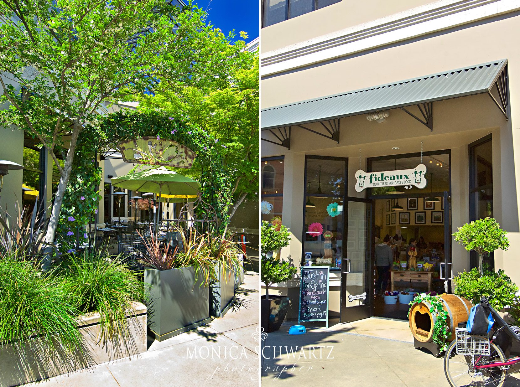 Willis-Seafood-and-Raw-Bar-and-Fideaux-pet-store-in-Healdsburg-California