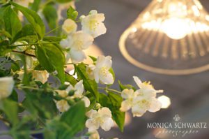 Flowers-decorating-the-bar-at-the-Shed-in-Healdsburg-California